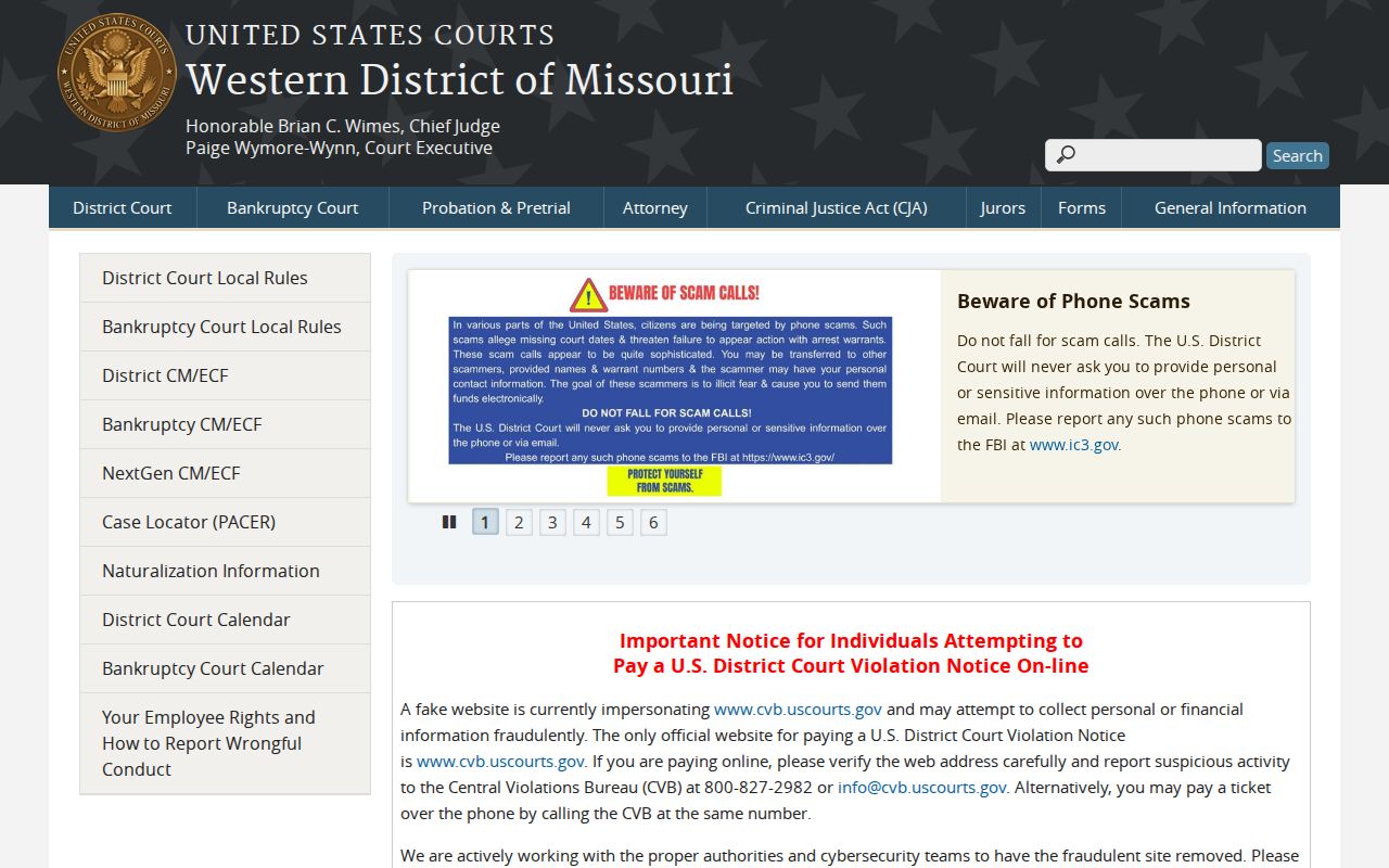 McDonald County criminal records Western District of Missouri